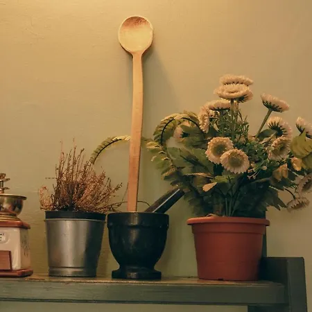 Гостевой дом Casa Particulart