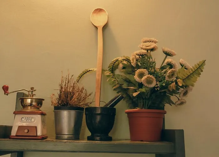 Πανσιόν Casa Particulart