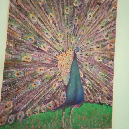 Casa Particulart
