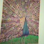 Casa Particulart